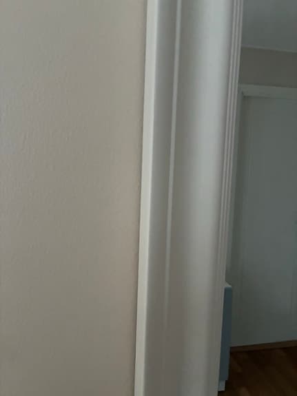 Spegel