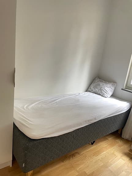 Enkelsäng