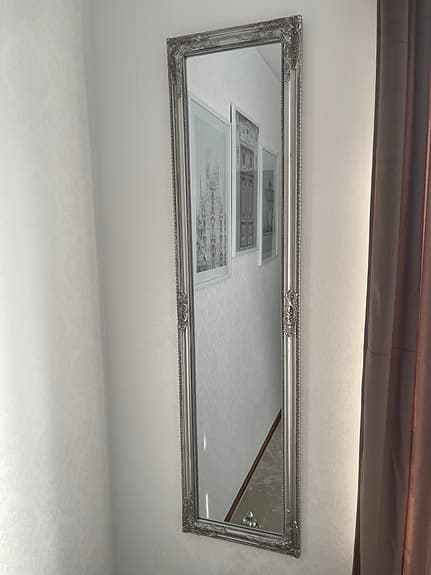 Spegel 30*120