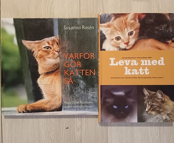 Kattböcker