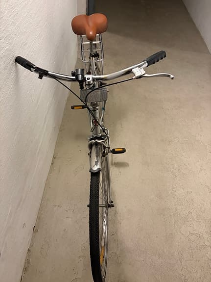 Nishiki DBS Special – 28” / 53 cm – Fint skick