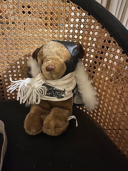 Charmig nalle med pilotmössa och liten skinnpaj !