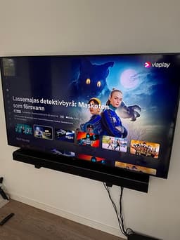 65” tv + högtalare