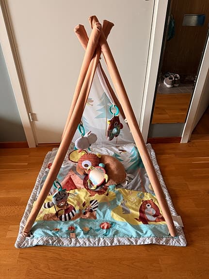 Skip Hop Baby Gym