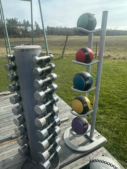 medicinbollar med ställ + 10 kg wall ball
