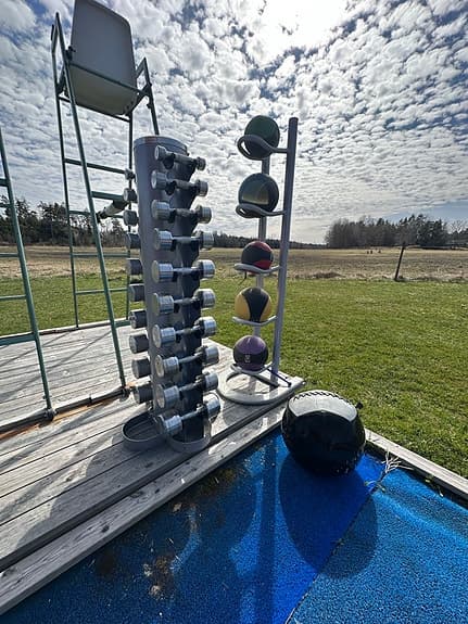 medicinbollar med ställ + 10 kg wall ball