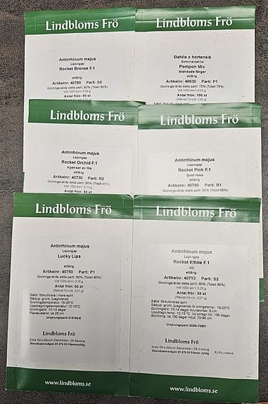 6 påsar fröer från Lindbloms (Lejongap & Dahlia) – Fyndpris!