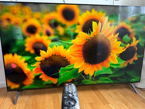 LG 65” 4K Smart TV (HDR, 100 Hz, Dolby Vision, Dolby Atmos)
