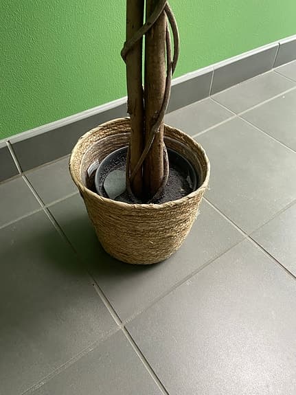 Träd Fikus konstgjort BUD