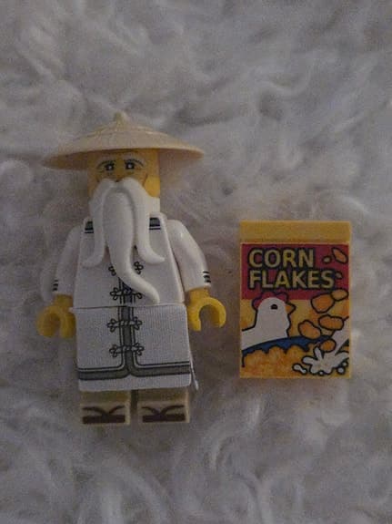 The lego ninjago movie minifigur