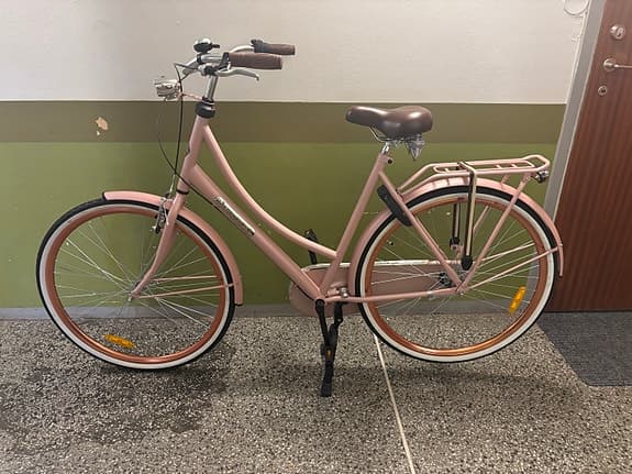 Popal damcykel i rosa