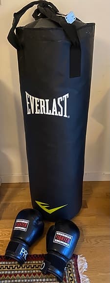 Everlast boxsäck svart med upphängning och boxhandskar Fighter Pro svart