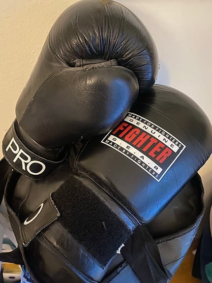 Everlast boxsäck svart med upphängning och boxhandskar Fighter Pro svart