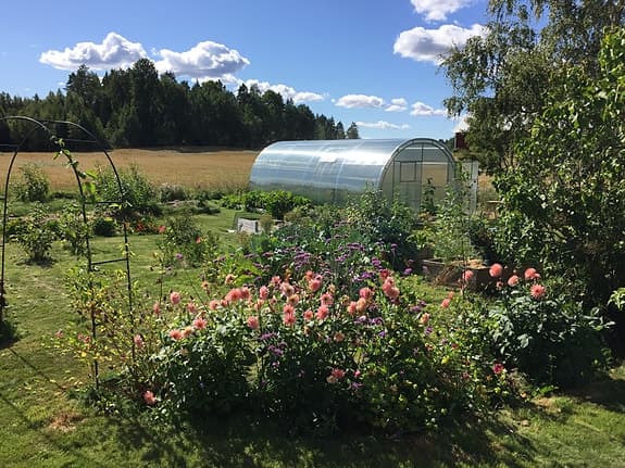 Tunnelväxthus 8x4 meter exklusive kanalplast