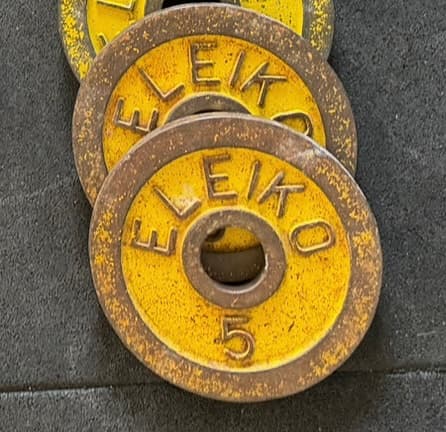 Eleiko viktskivor 5 kg x2