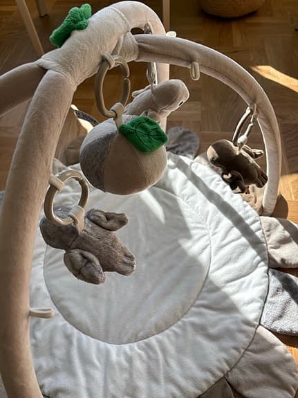 Rätt start owls babygym