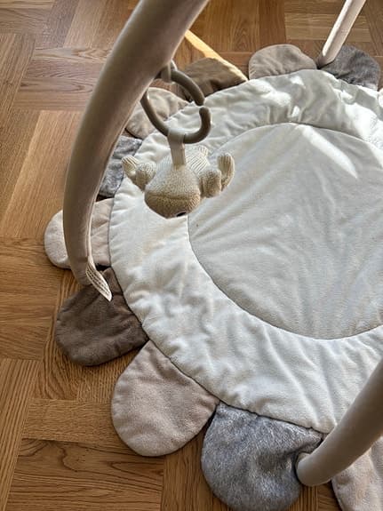 Rätt start owls babygym