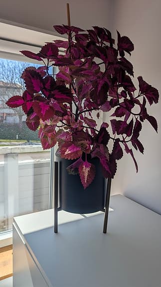 Blomma Palettblad + kruka/stativ