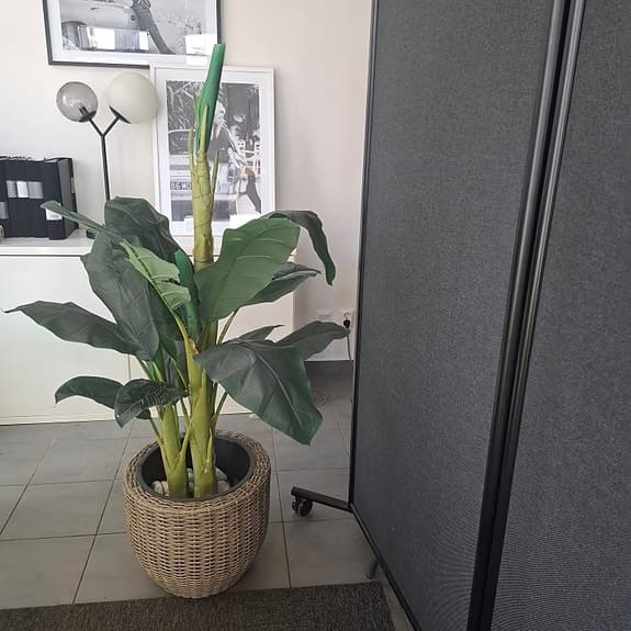 Konstväxt bananplanta grön med korgkruka