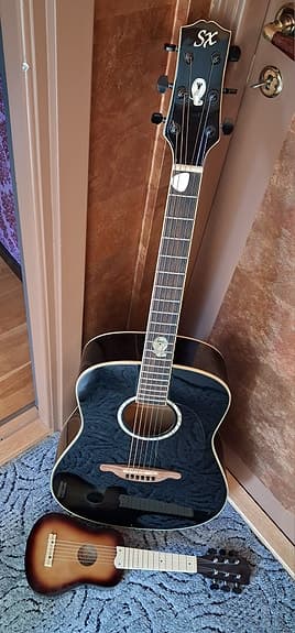 Akustisk gitarr SX Poison Series
