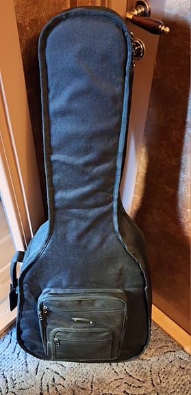 Akustisk gitarr SX Poison Series