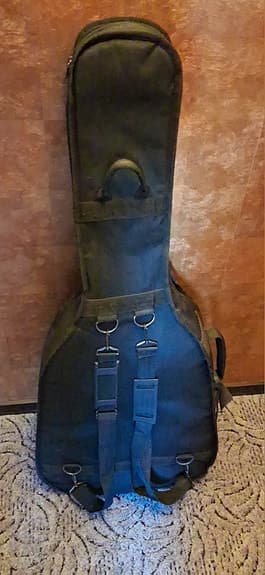 Akustisk gitarr SX Poison Series