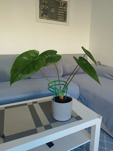 Gröna växter