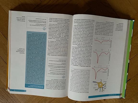 Liber Människokroppen fysiologi och anatomi lärobok medicin och hälsa