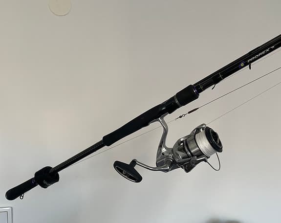 Daiwa Prorex XR haspelspö 8’ 50–100 g svart + Shimano Stradic 4000