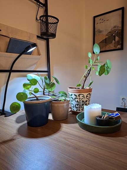 Flexibel och mångsidig växtbelysning