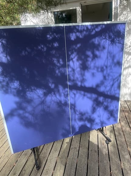 Pingisbord med nät (inomhus men bra att använda utom hus under dagen)