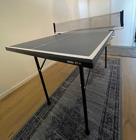 Mini TT pingisbord med nät