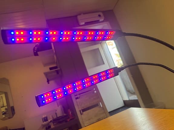 LED växtlampa med klämma och justerbar arm
