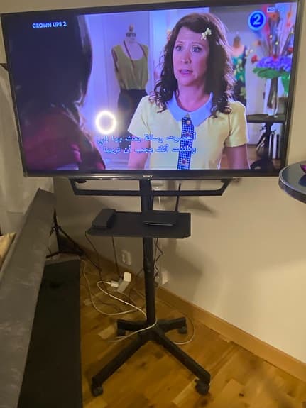 Sony TV  48-tums på golvstativ