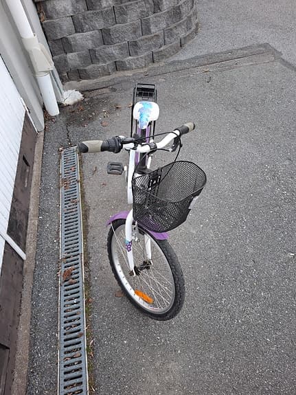 DBS barncykel 20" vit/lila med korg