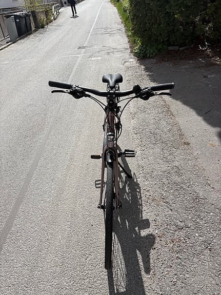 Crescent cyckel, Holma Rosé Metallic
