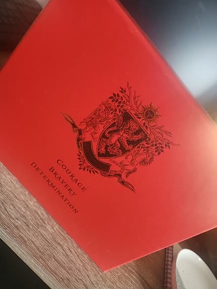 Harry Potter Hogwarts House Editions Gryffindor box med böcker