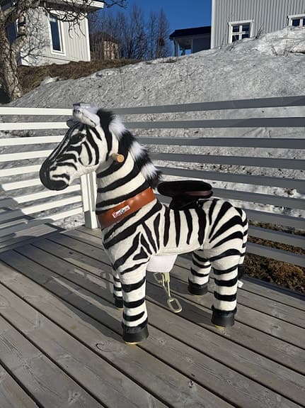 PonyCykle zebra