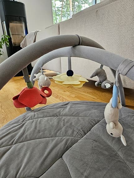 Babygym