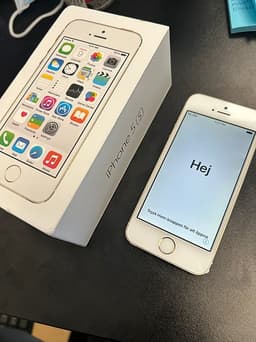 Apple iPhone 5S (16GB)
