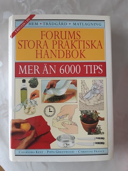 Forums stora praktiska handbok