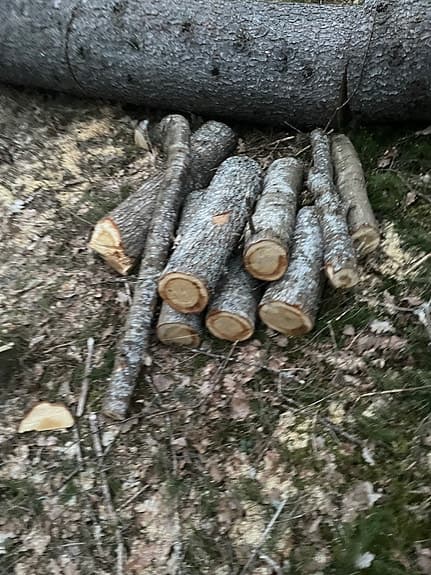 Björkved Ved / stockar i skogen