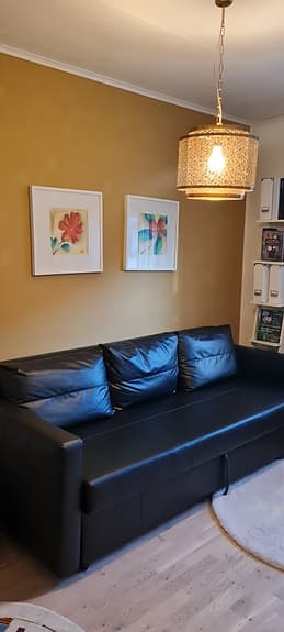 Snygg bäddsoffa