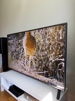 LG 55" Tv med Google Chromecast