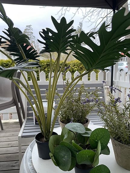 Konstgjord växt Philodendron 80 cm