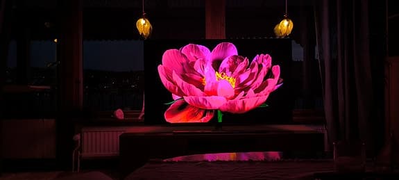 Philips 855 OLED 4K TV 55 tum med Ambilight (Perfekt skick!)