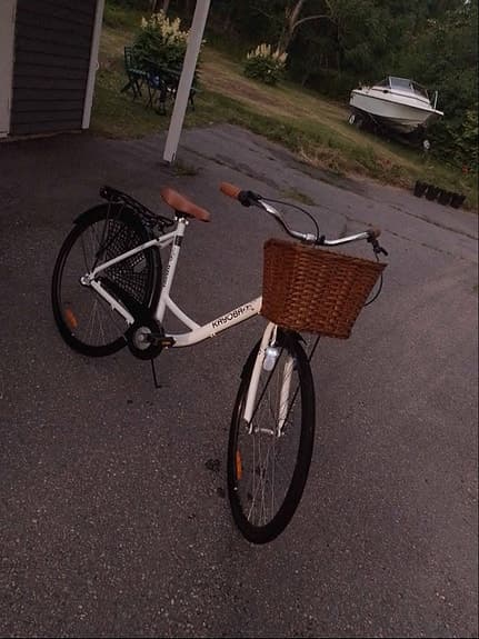 Damcykel