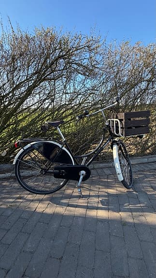 De Fietsfabriek Damcykel med träkorg