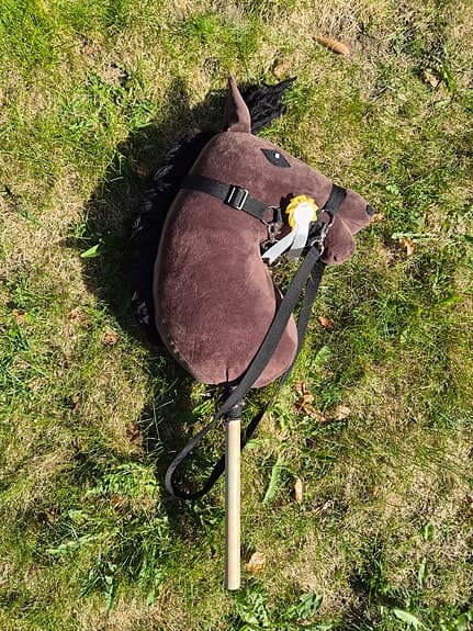 Två käpphästar med tillbehör