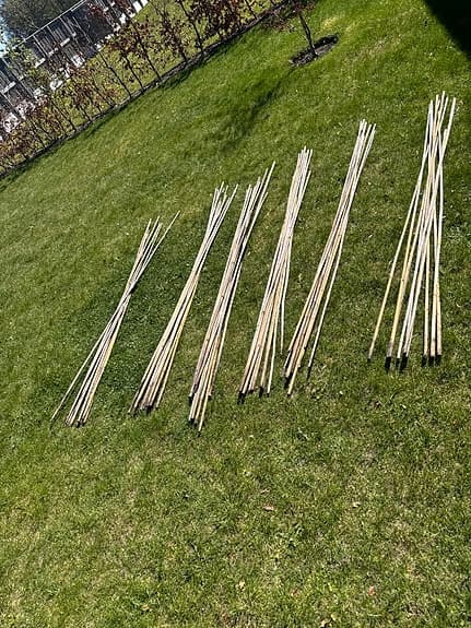 Bambupinnar 60st / växtstöd i buntar